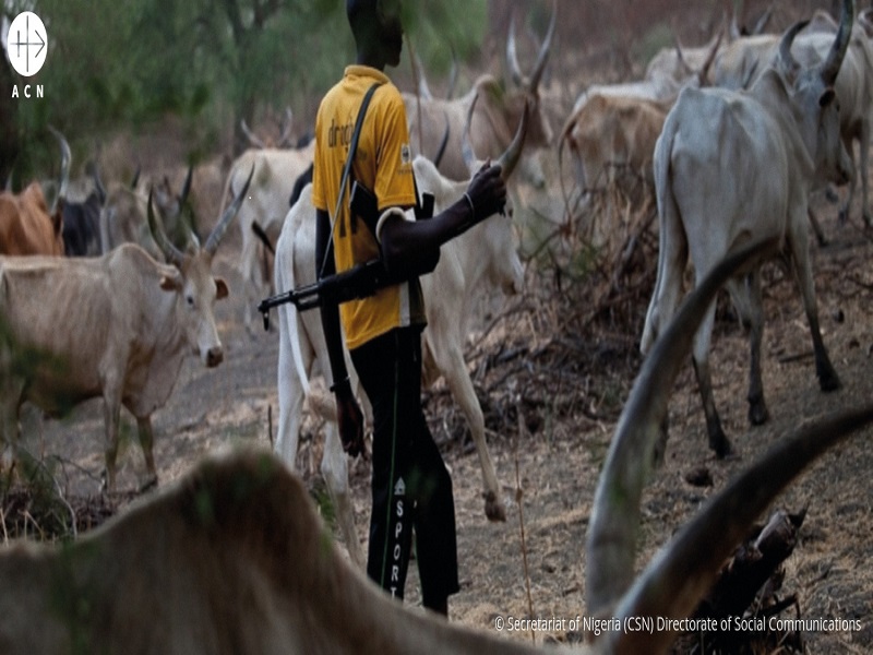 Nigeria pastor fulani con fusil credito y logo
